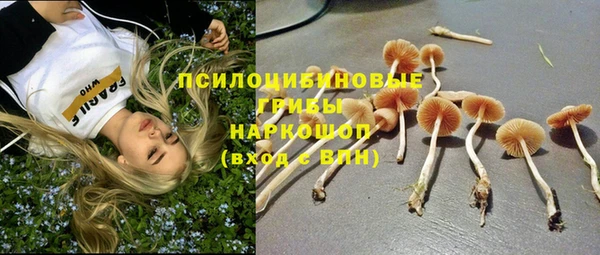 не бодяженный Кулебаки