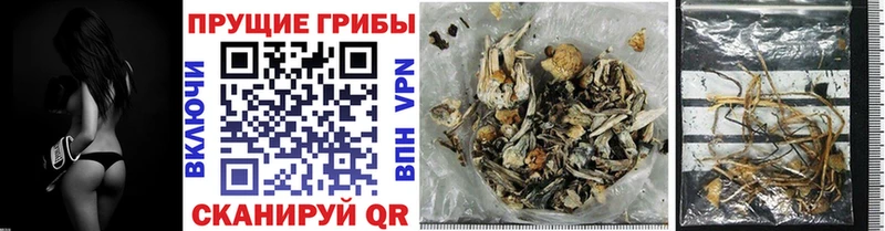 Галлюциногенные грибы ЛСД  Купить закладки  Рудня 